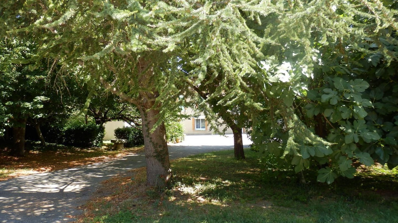 Photo of Outdoor in Saint-Felix-Lauragais