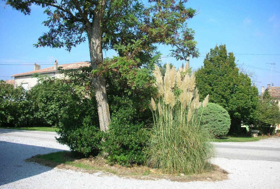 Photo of Outdoor in Saint-Felix-Lauragais