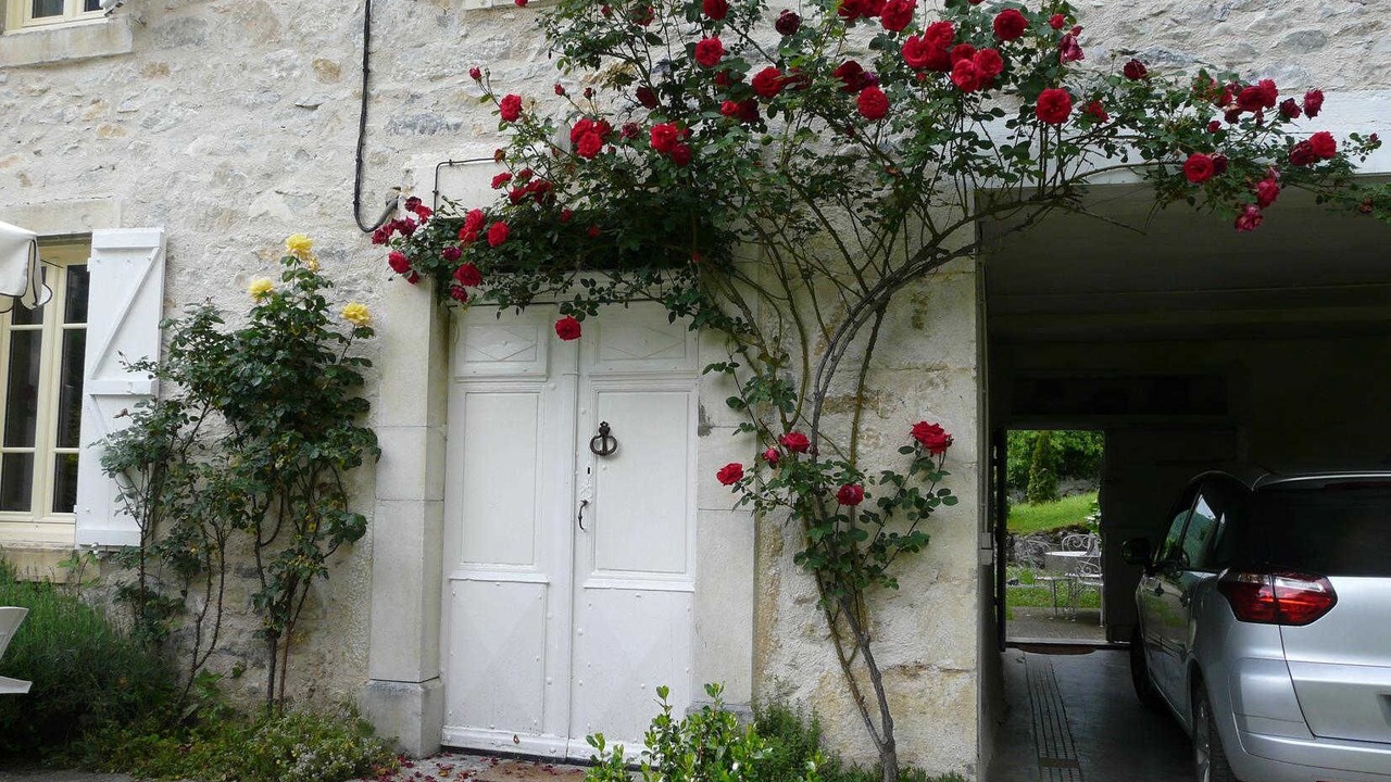 Photo of Outdoor in Arguenos