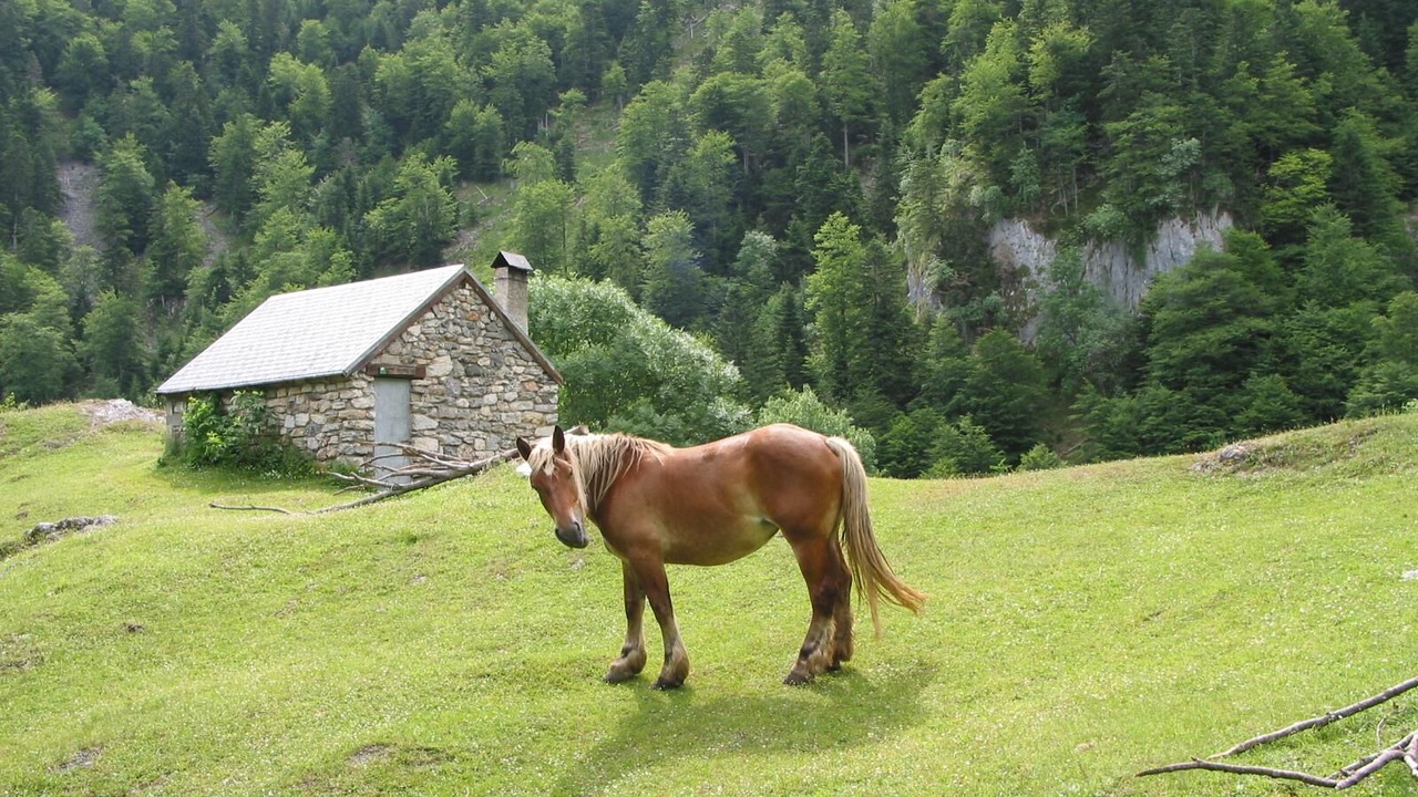 Photo of Others in Arguenos