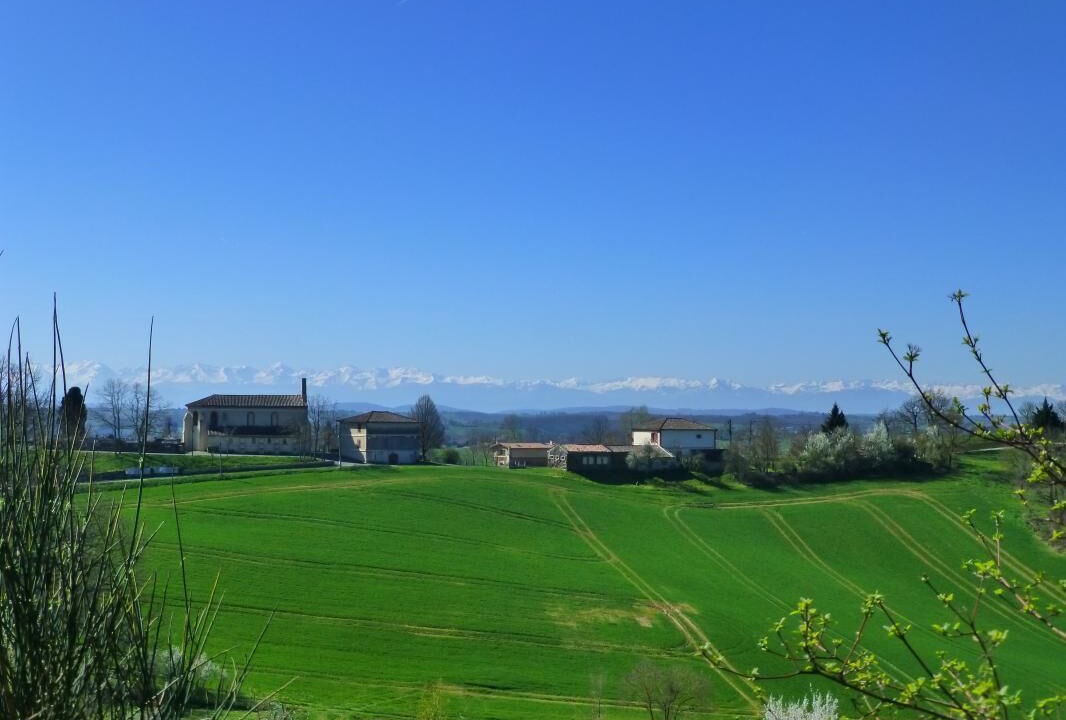 Photo of Others in Saint-Araille