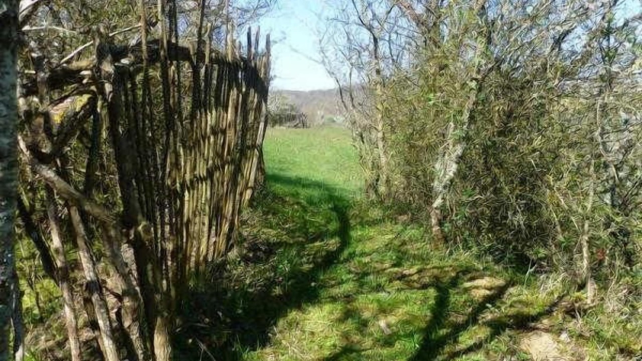 Photo of Others in Saint-Araille