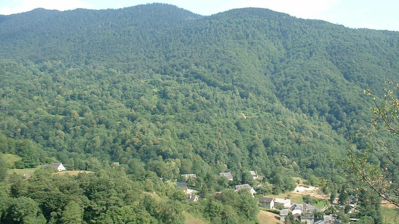 Photo of Others in Boutx