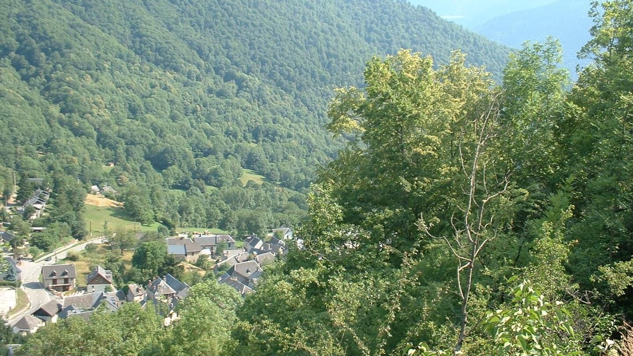 Photo of Others in Boutx