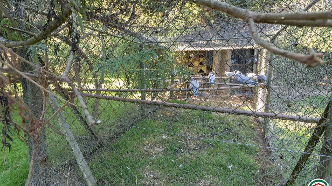 Photo of Others in Saint-Marcet