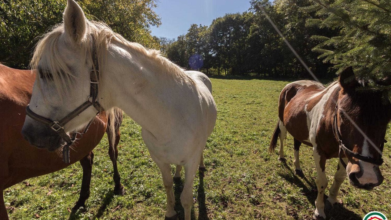 Photo of Others in Saint-Marcet