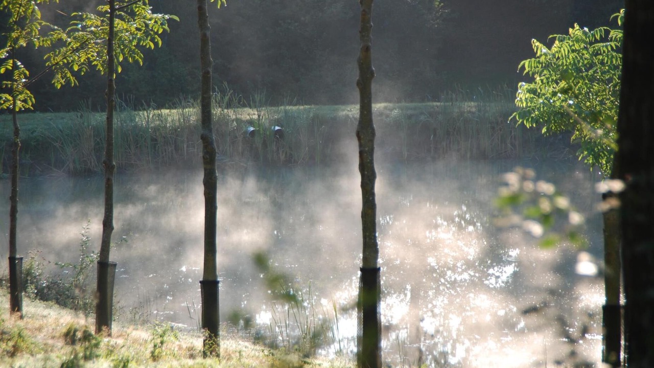Photo of Others in Mancioux