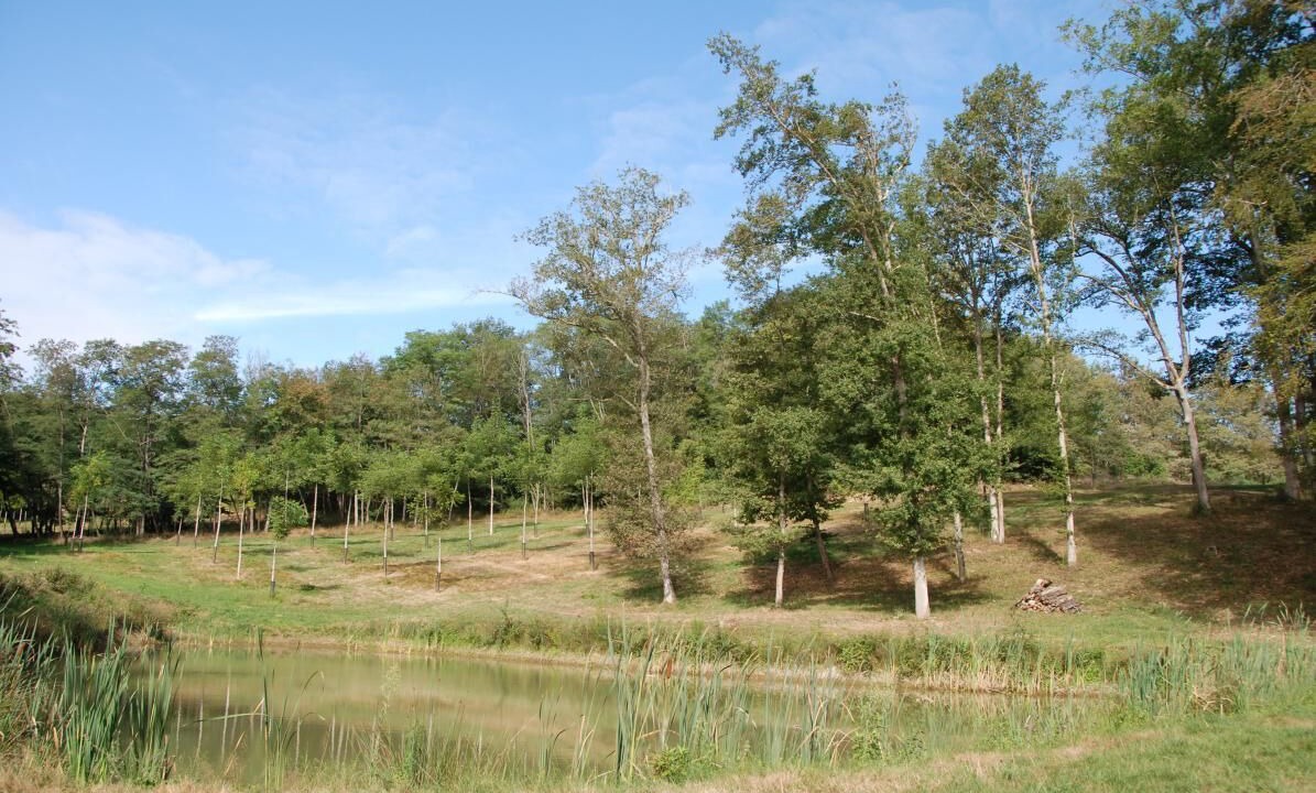 Photo of Others in Mancioux