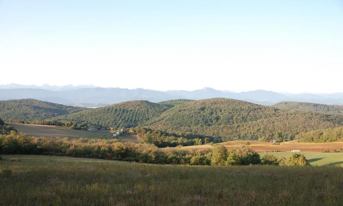 Photo of Others in Mancioux