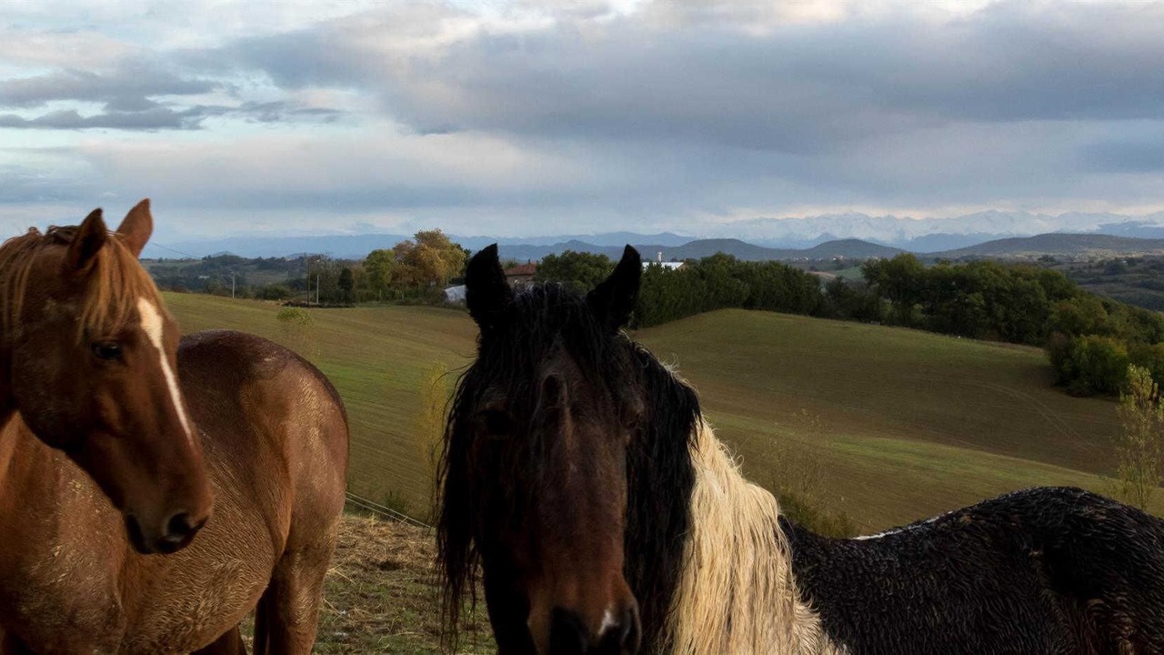 Photo of Others in Montbernard