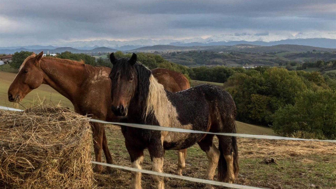 Photo of Others in Montbernard