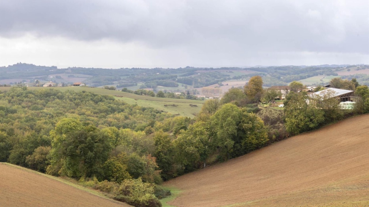 Photo of Others in Montbernard