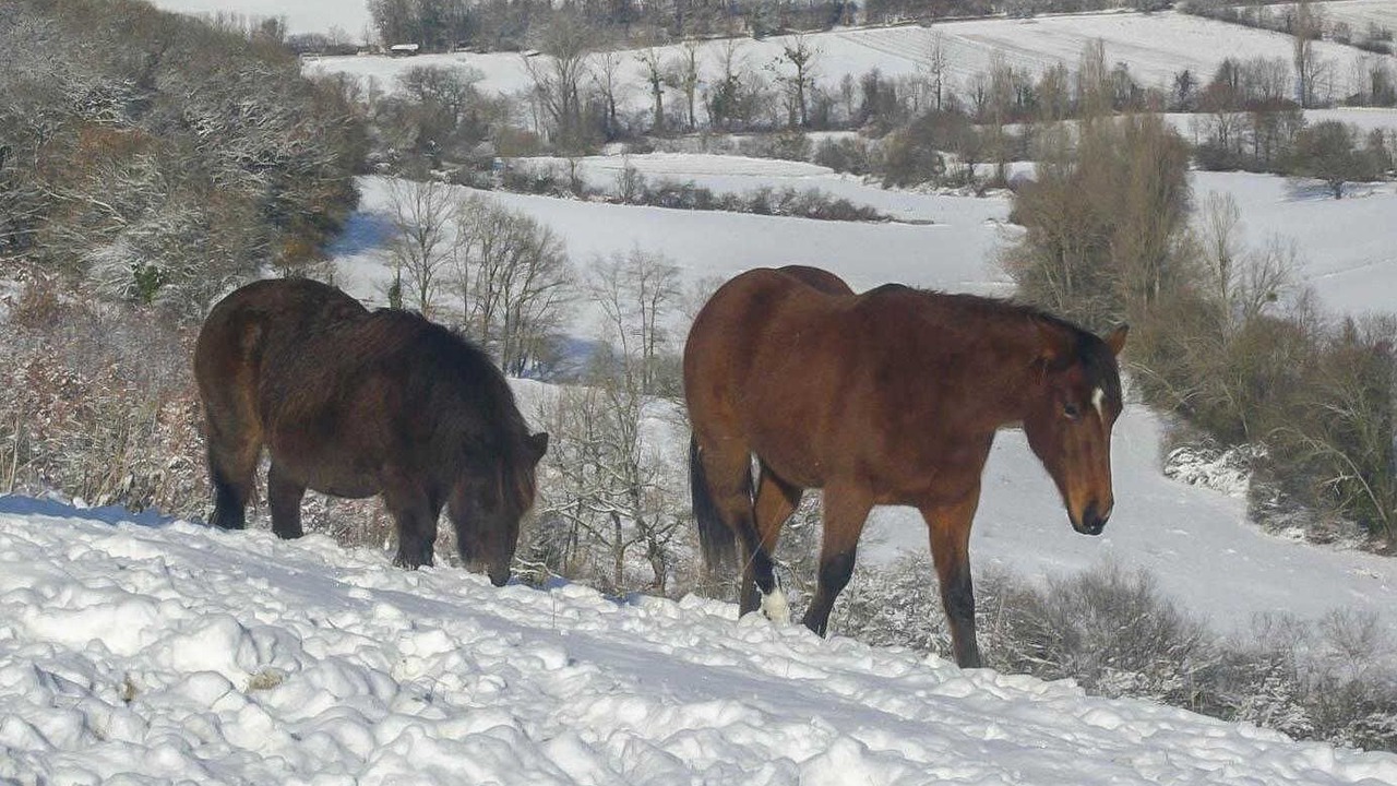 Photo of Others in Montbernard