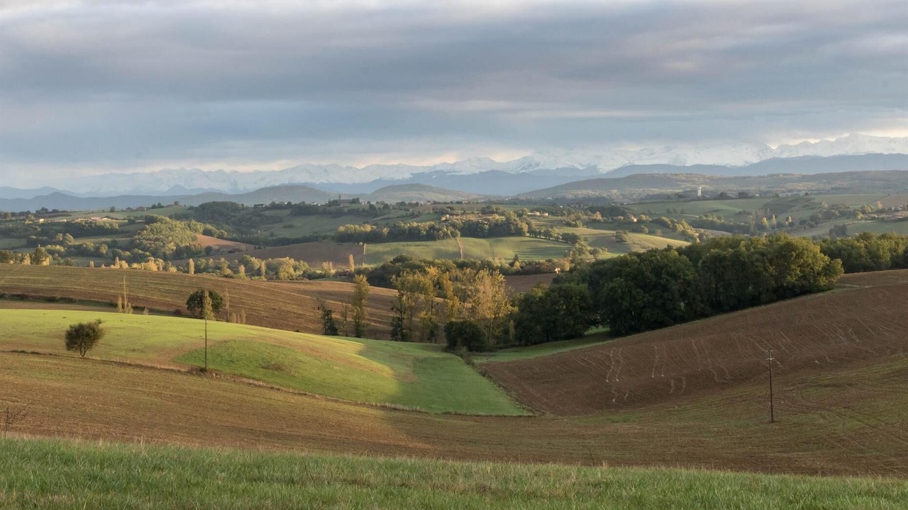 Photo of Others in Montbernard