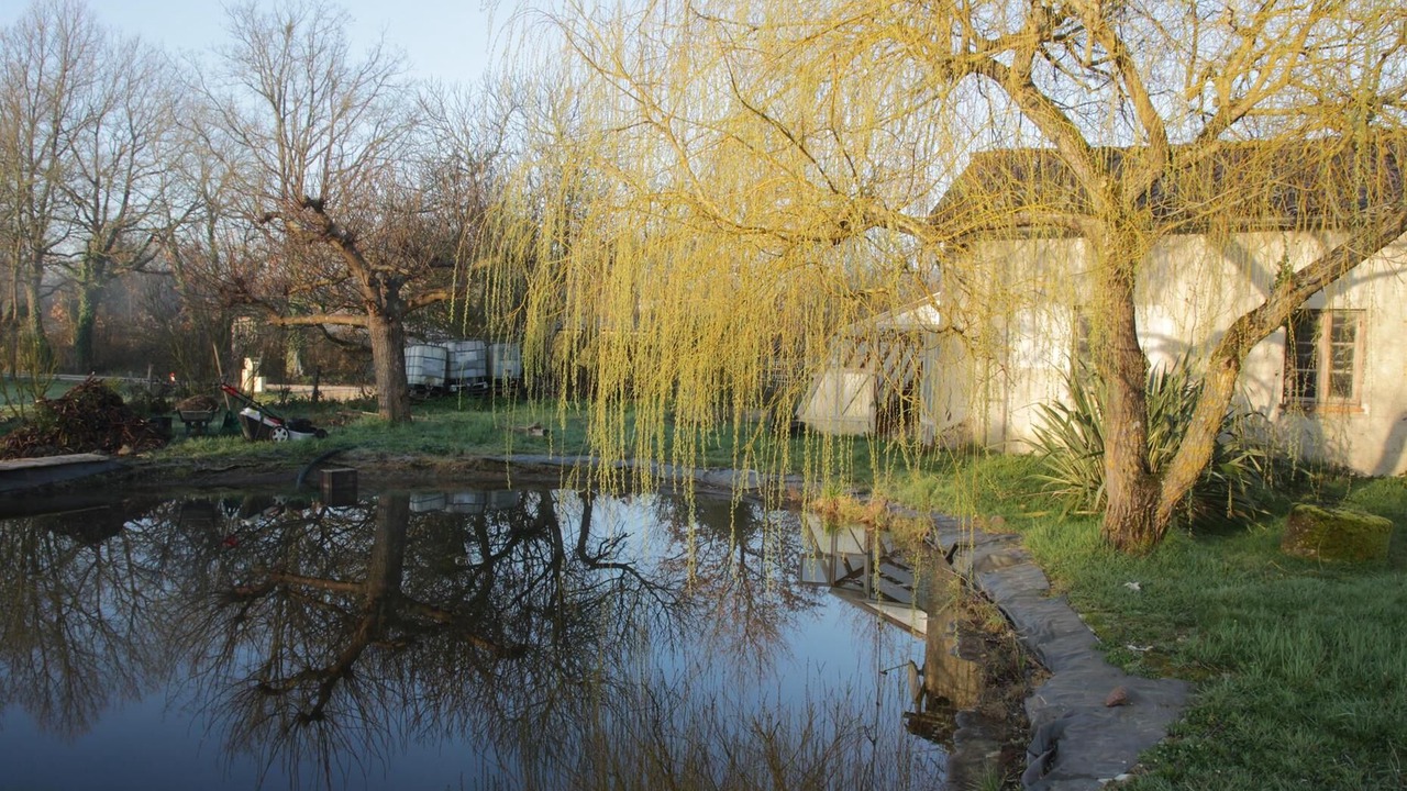 Photo of Others in Forgues