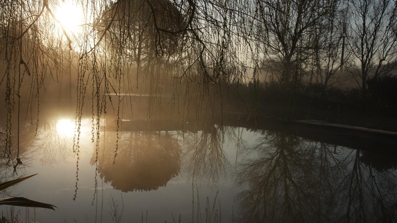 Photo of Others in Forgues