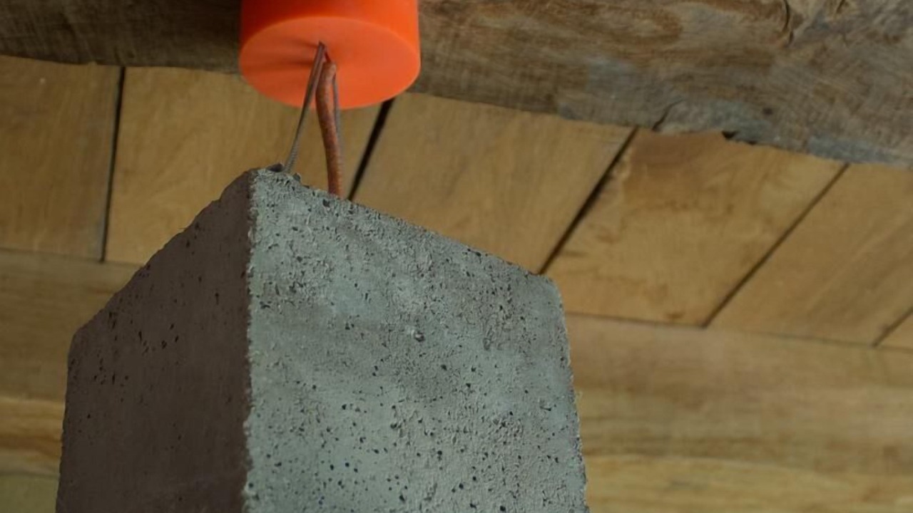 Photo of Others in Forgues