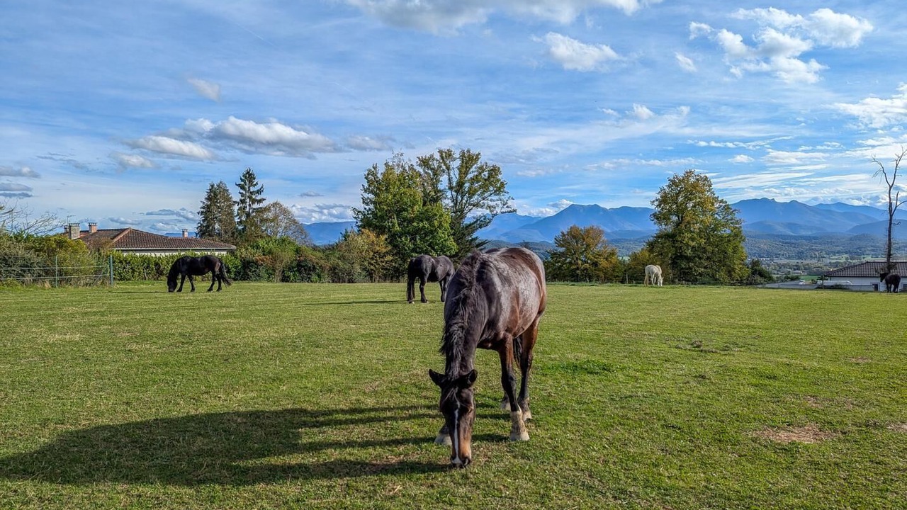 Photo of Others in Villeneuve-de-Riviere
