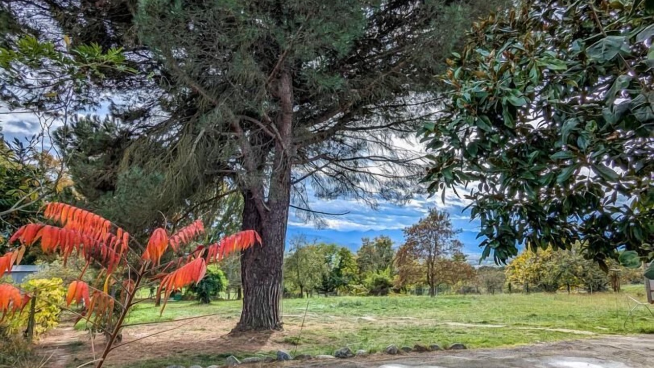 Photo of Outdoor in Villeneuve-de-Riviere