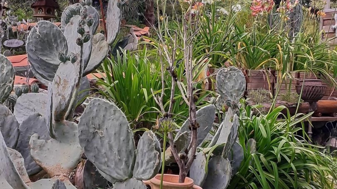 Photo of Outdoor in Montespan