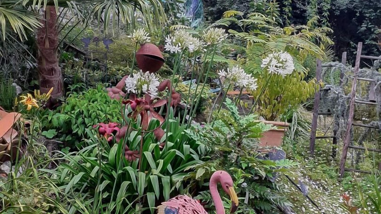 Photo of Outdoor in Montespan