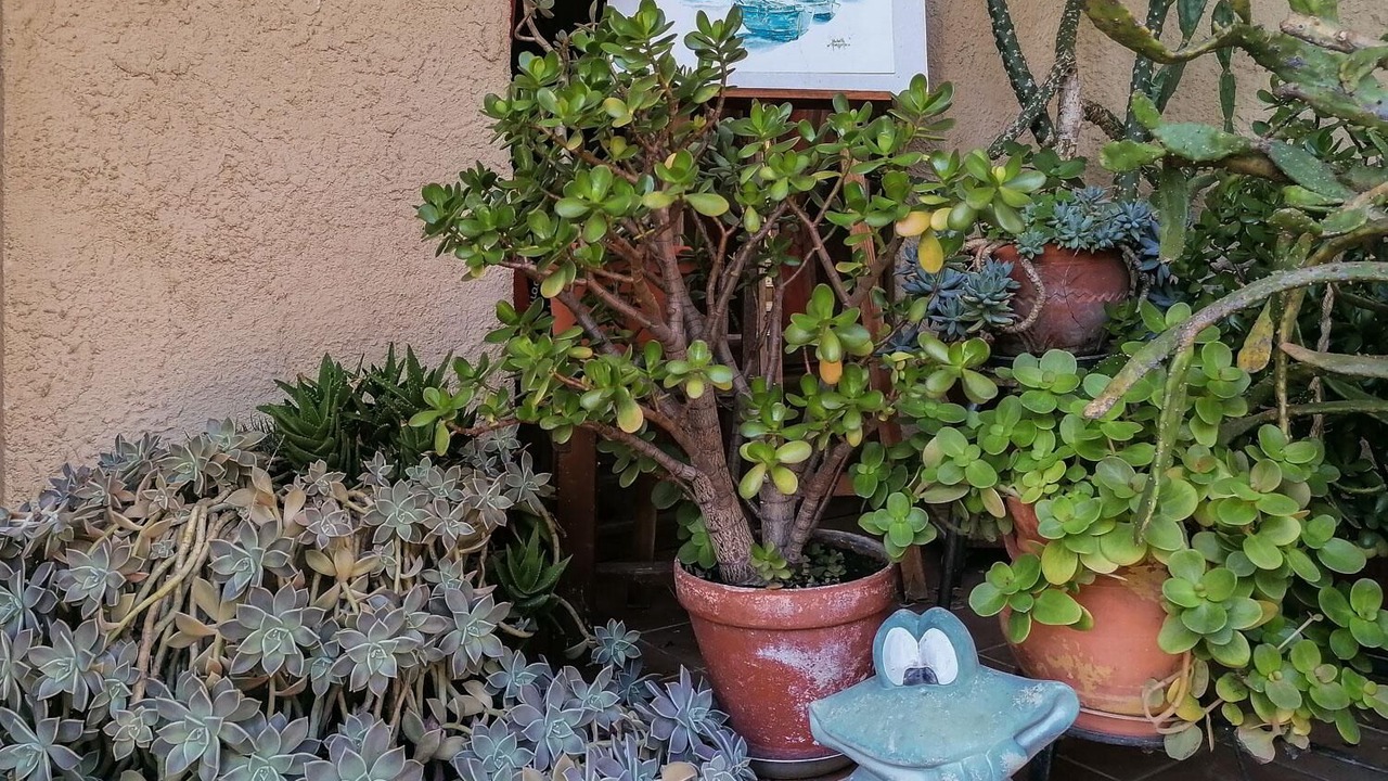 Photo of Outdoor in Montespan