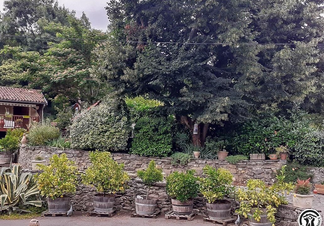 Photo of Outdoor in Montespan