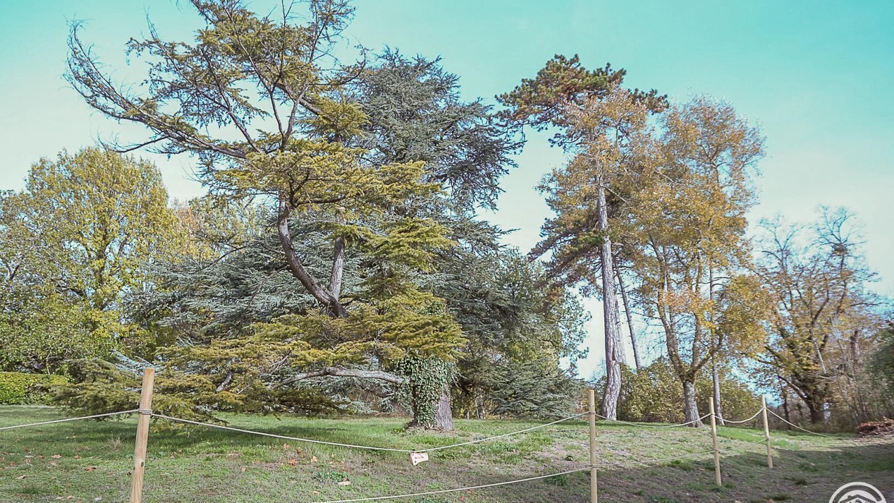 Photo of Outdoor in Beaupuy