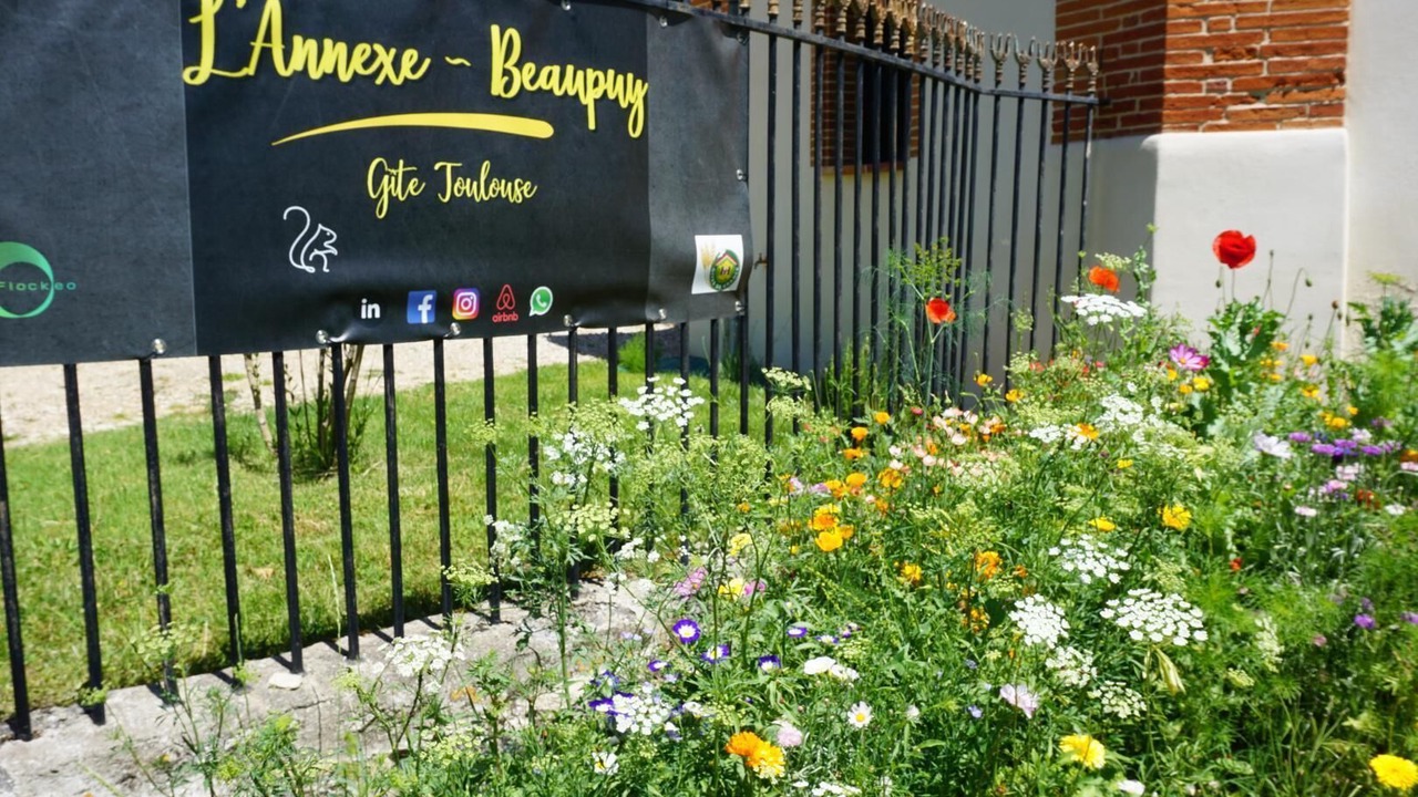 Photo of Outdoor in Beaupuy