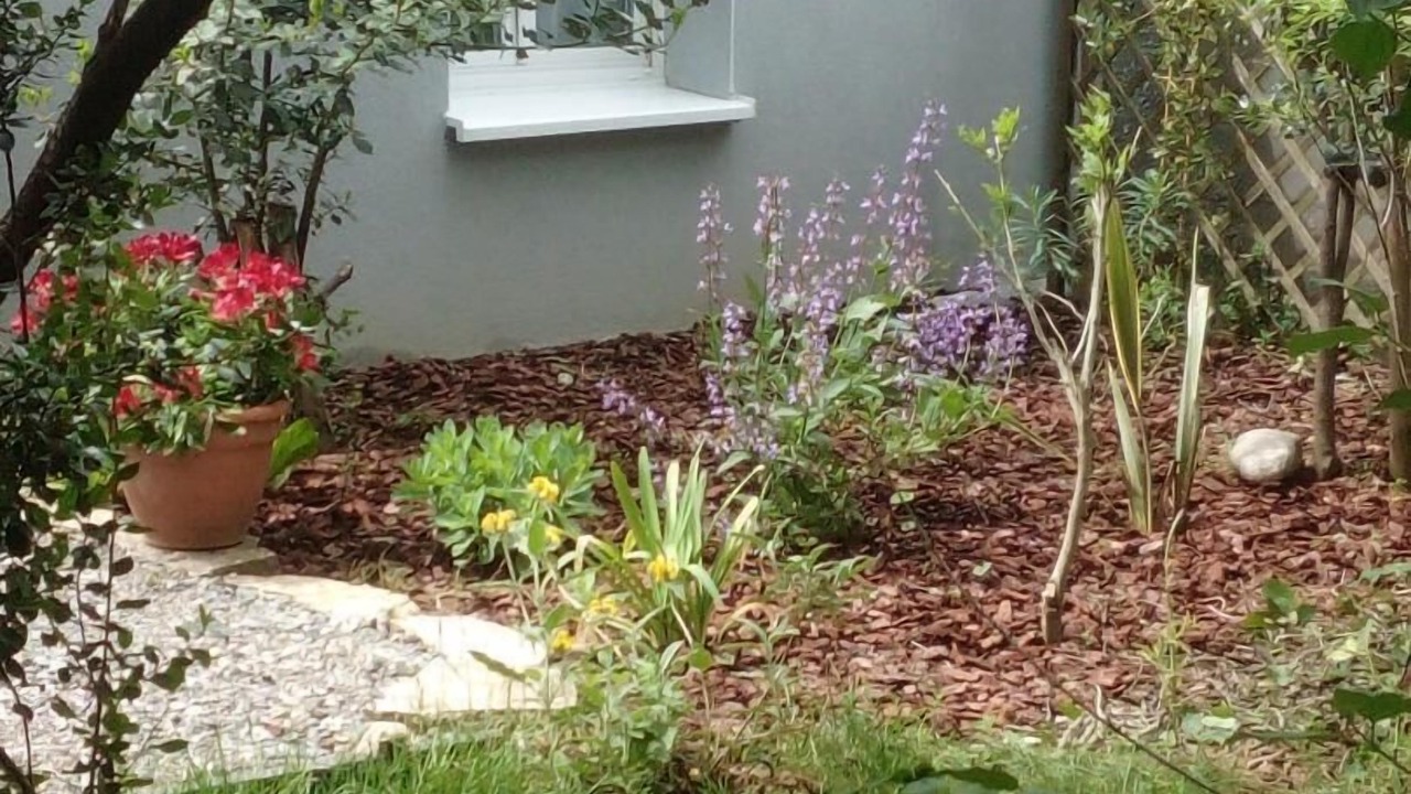 Photo of Outdoor in Muret