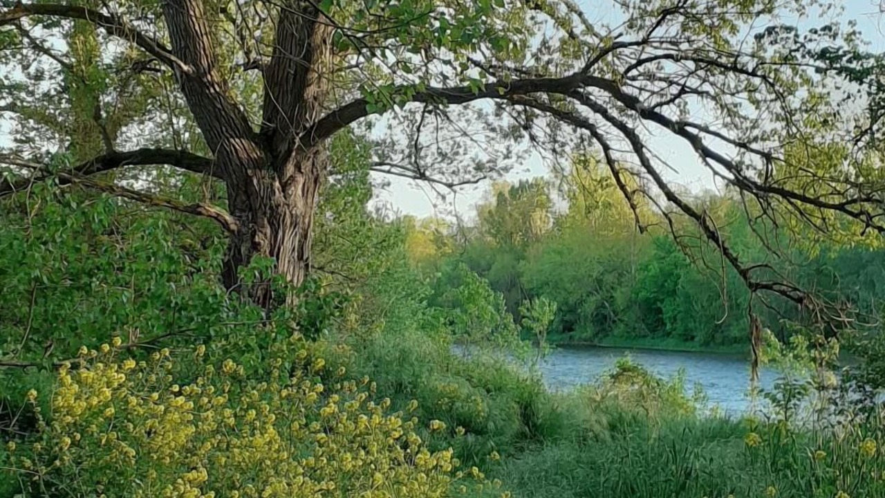 Photo of Outdoor in Muret