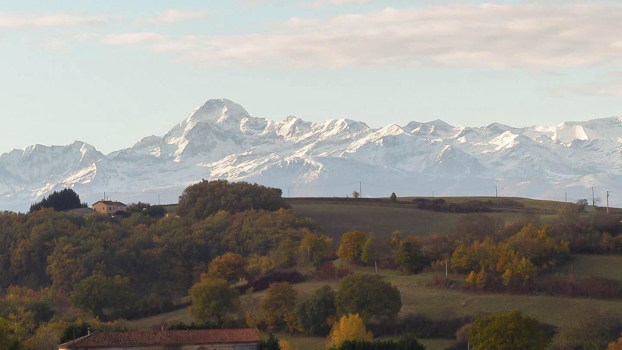 Photo of Others in Canens