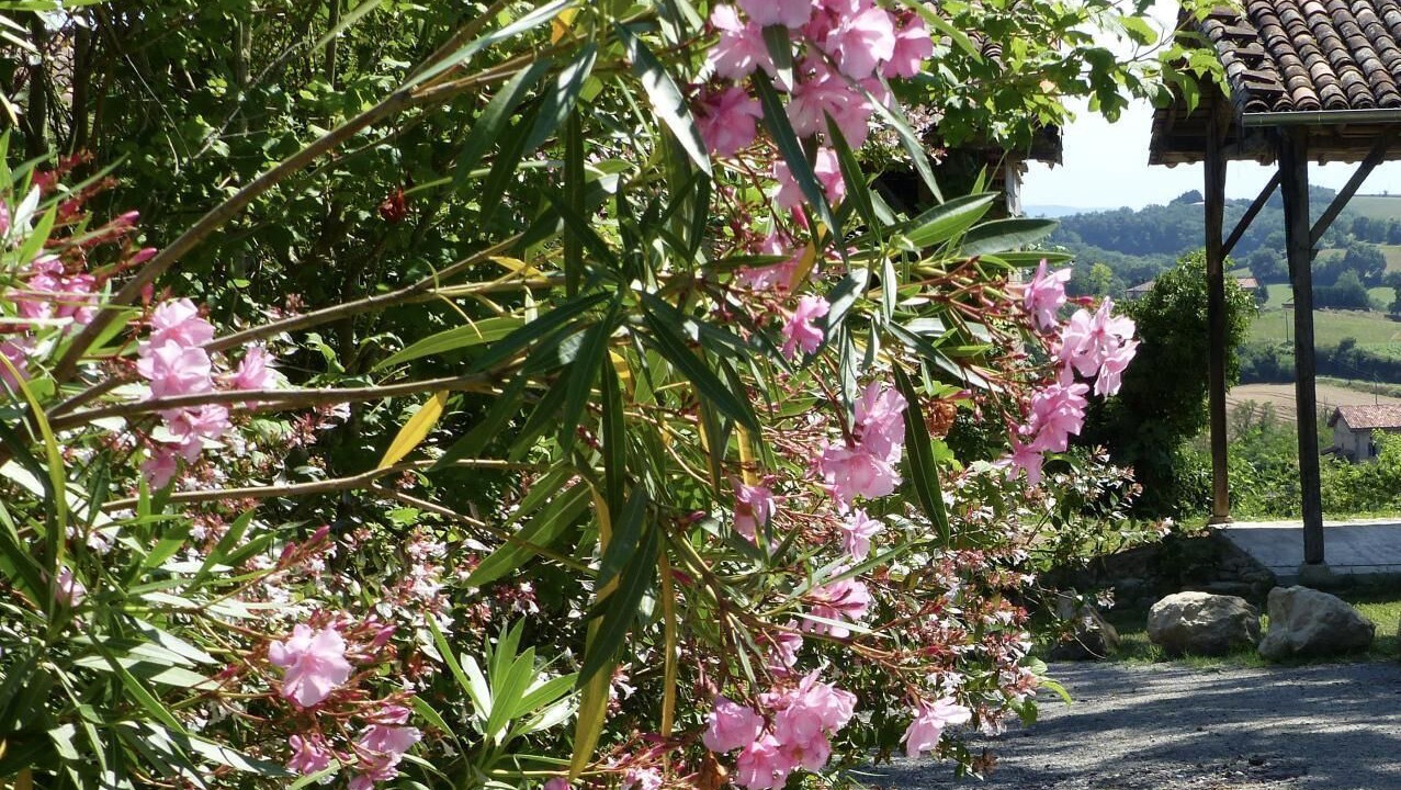 Photo of Outdoor in Canens