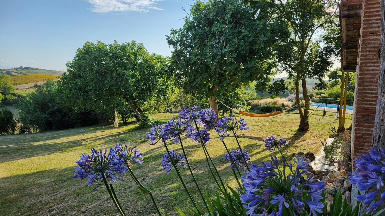 Photo of Outdoor in Canens