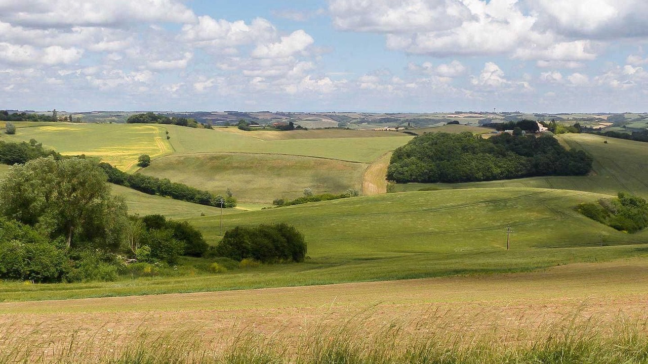 Photo of Others in Canens