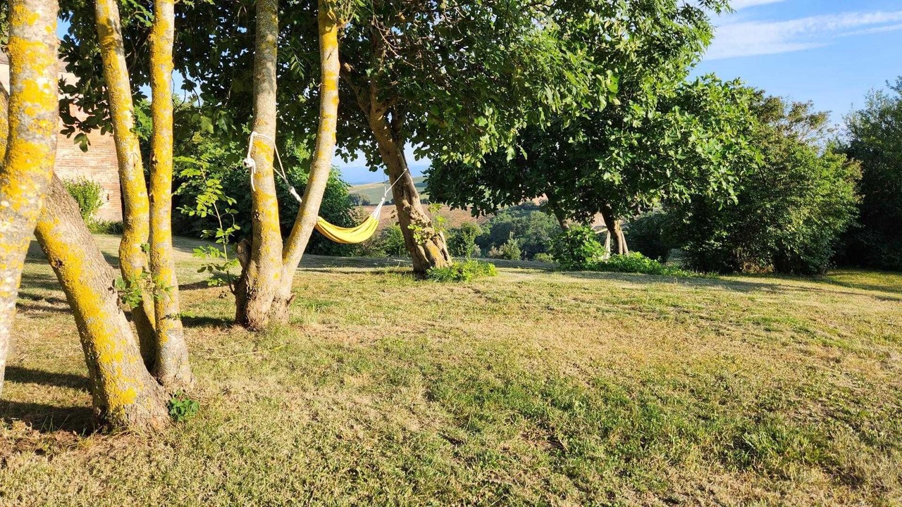 Photo of Outdoor in Canens