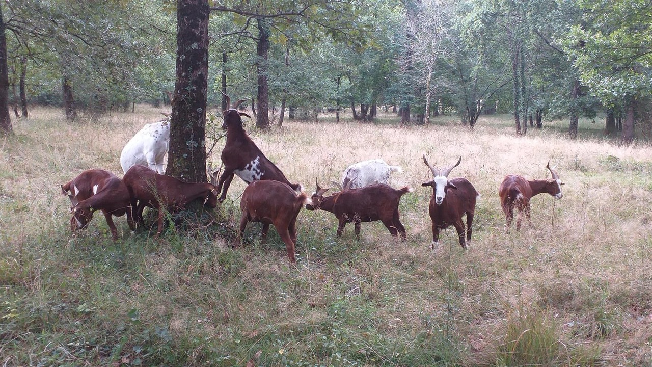 Photo of Others in Saint-Leon