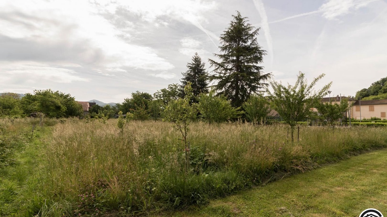 Photo of Outdoor in Mancioux