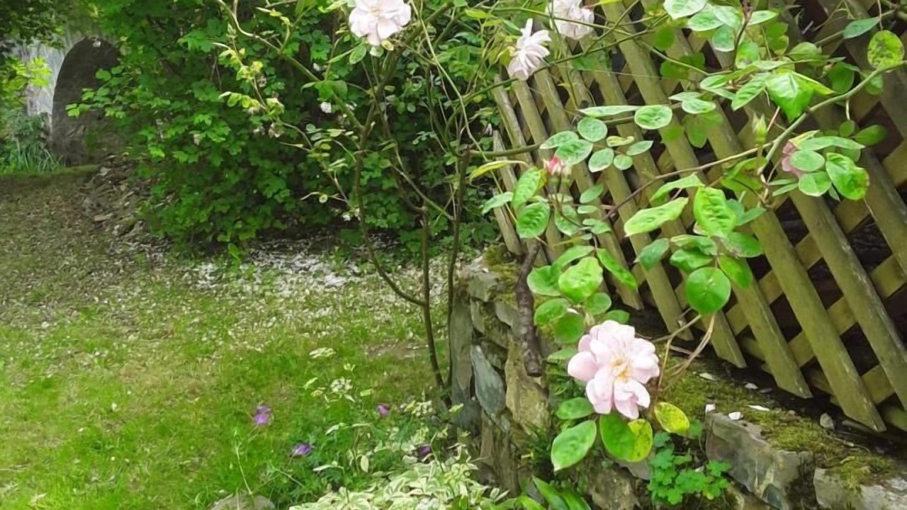 Photo of Outdoor in Ganties