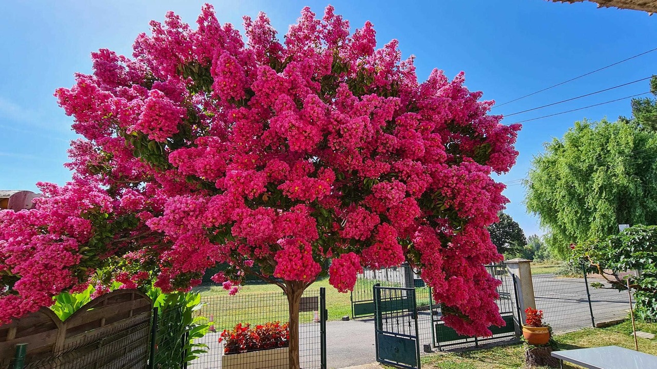 Photo of Outdoor in Saint-Jean
