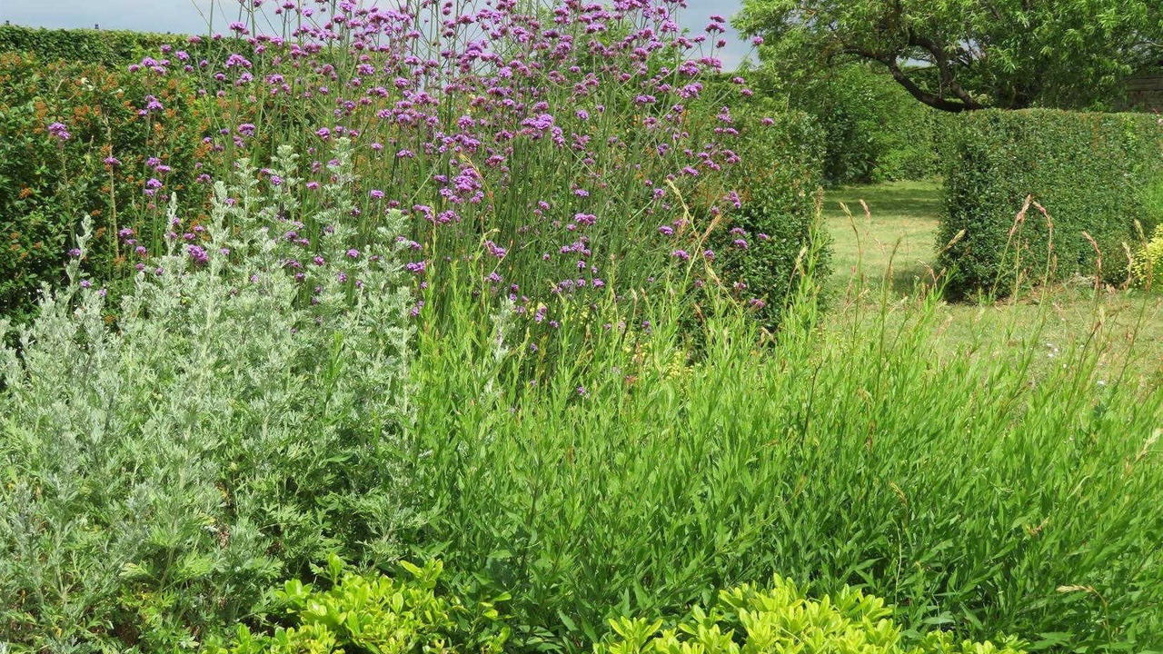 Photo of Outdoor in Saint-Jory