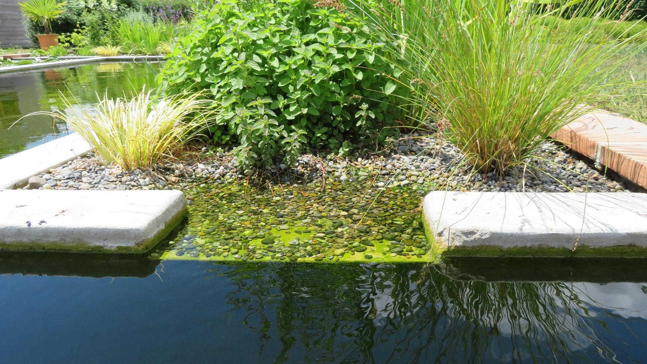 Photo of Outdoor in Saint-Jory