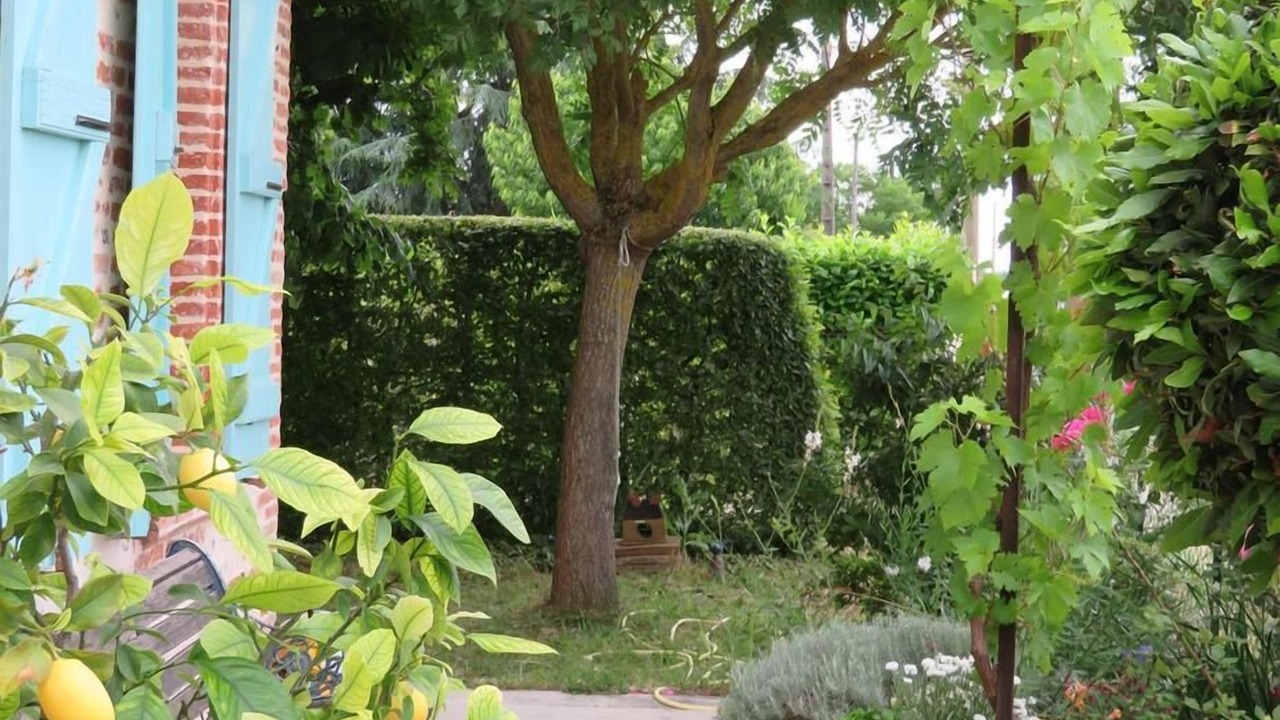Photo of Outdoor in Saint-Jory