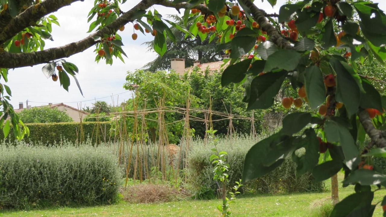 Photo of Outdoor in Saint-Jory