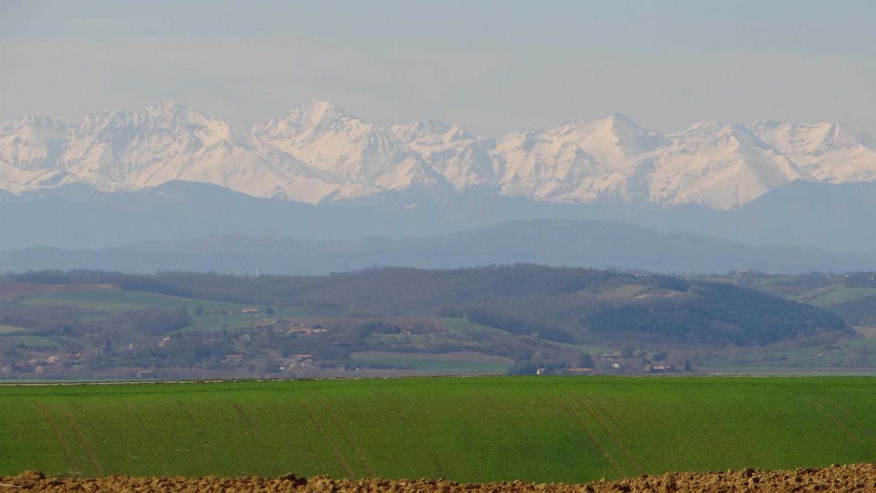 Photo of Others in Cessales