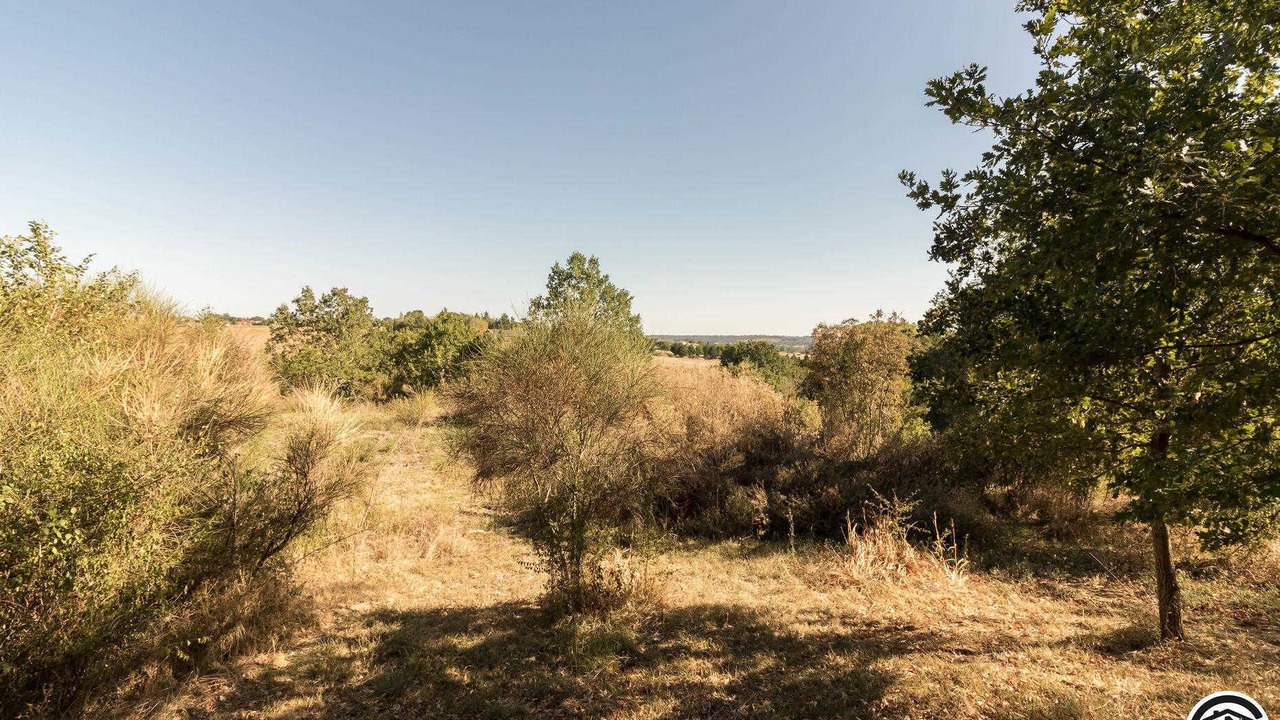 Photo of Others in Villaries