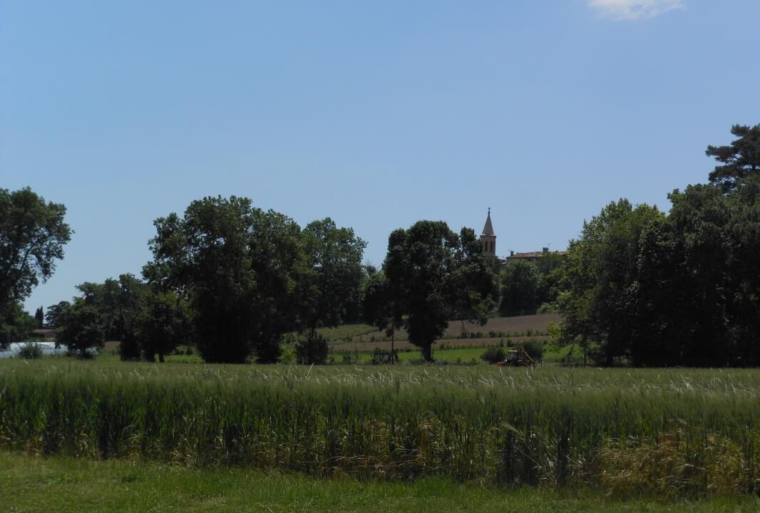 Photo of Outdoor in Montegut-Lauragais