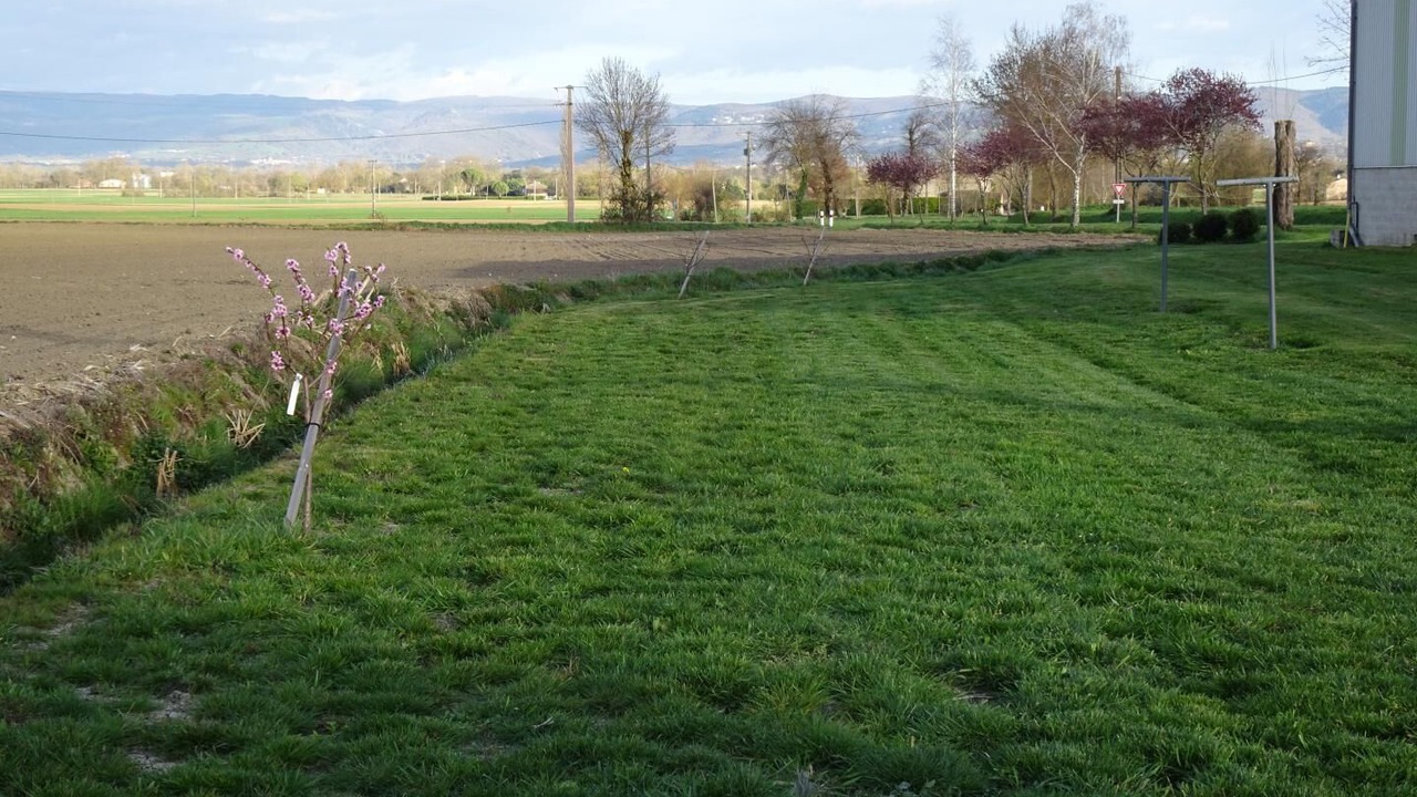 Photo of Others in Montegut-Lauragais