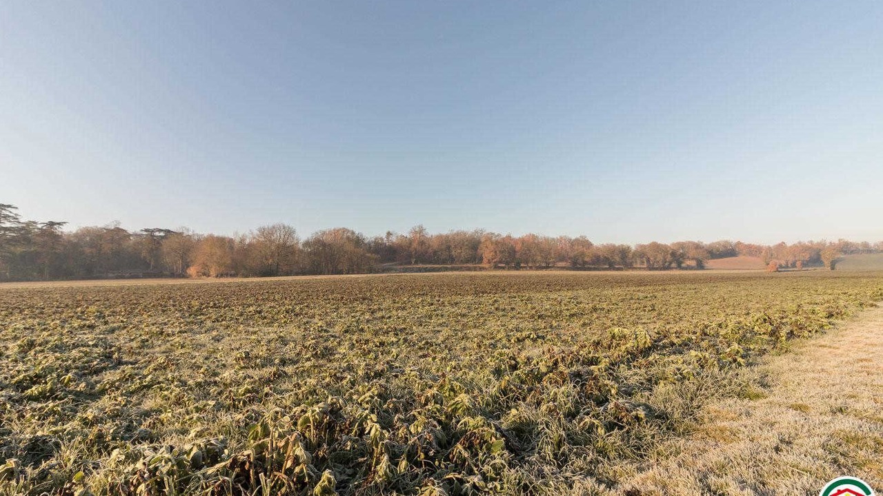 Photo of Outdoor in Montegut-Lauragais