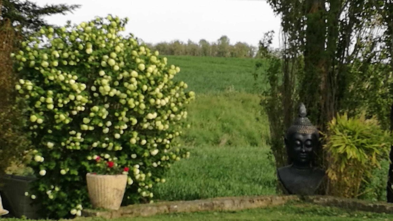 Photo of Outdoor in Auriac-sur-Vendinelle